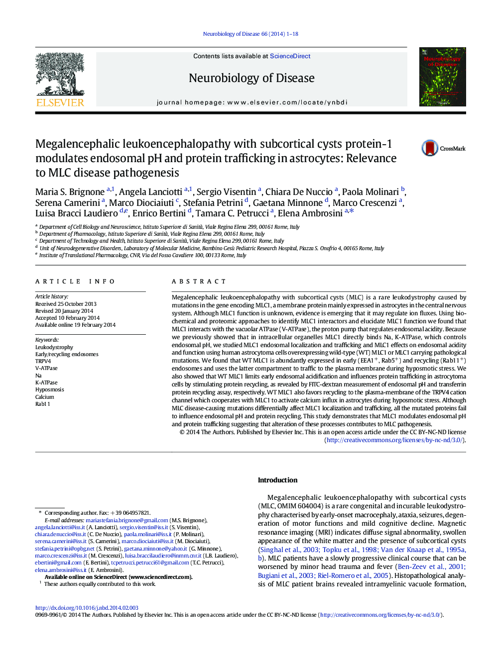 Megalencephalic leukoencephalopathy with subcortical cysts protein-1 modulates endosomal pH and protein trafficking in astrocytes: Relevance to MLC disease pathogenesis