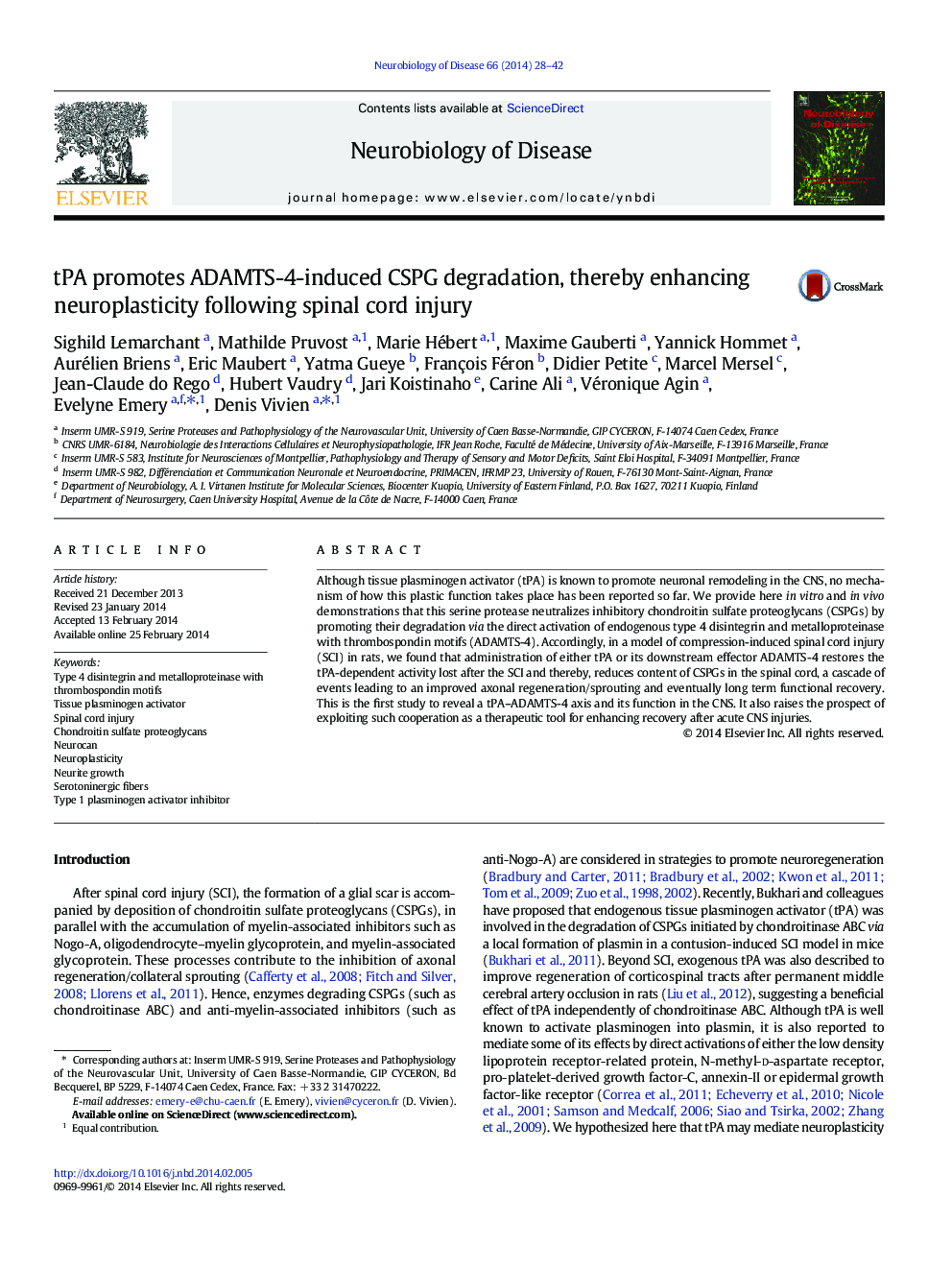 tPA promotes ADAMTS-4-induced CSPG degradation, thereby enhancing neuroplasticity following spinal cord injury