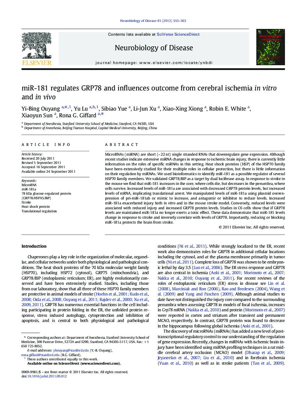 miR-181 regulates GRP78 and influences outcome from cerebral ischemia in vitro and in vivo