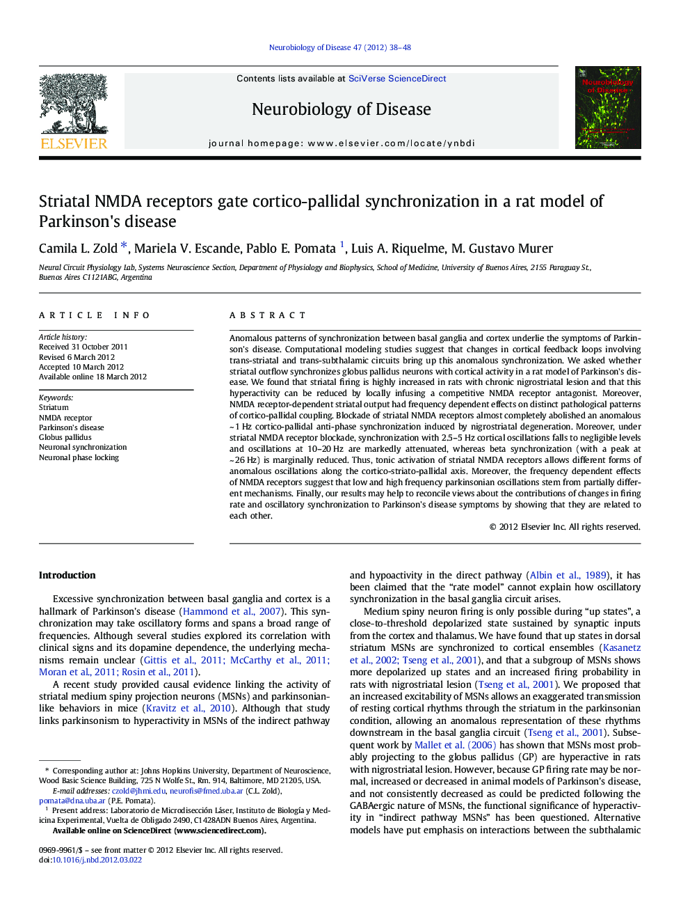 Striatal NMDA receptors gate cortico-pallidal synchronization in a rat model of Parkinson's disease