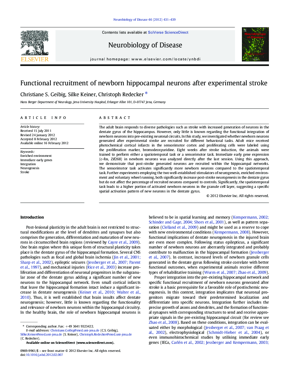 Functional recruitment of newborn hippocampal neurons after experimental stroke