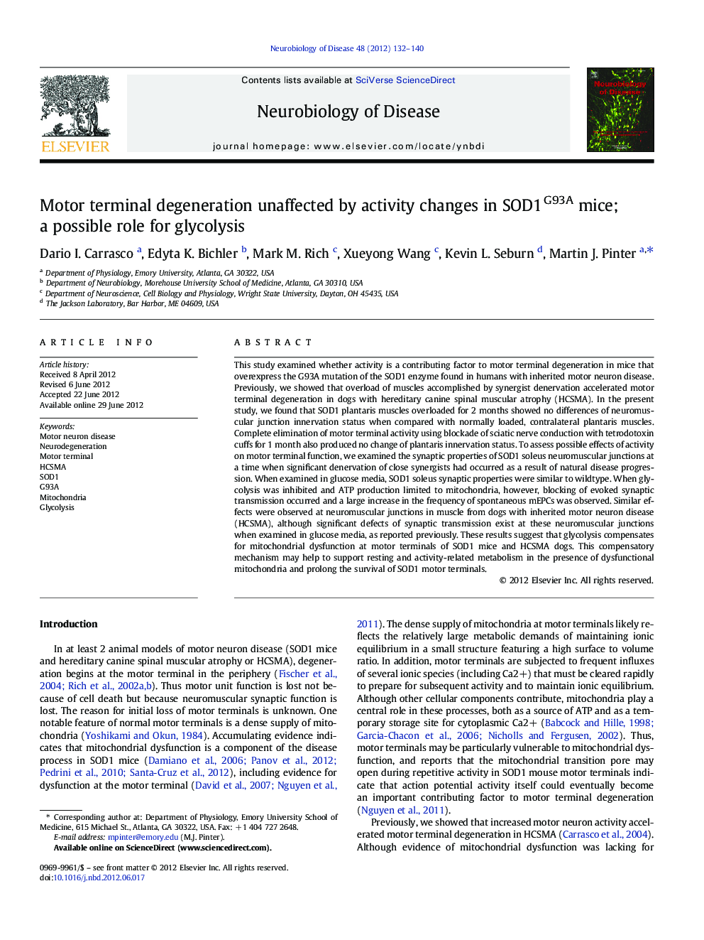 Motor terminal degeneration unaffected by activity changes in SOD1G93A mice; a possible role for glycolysis