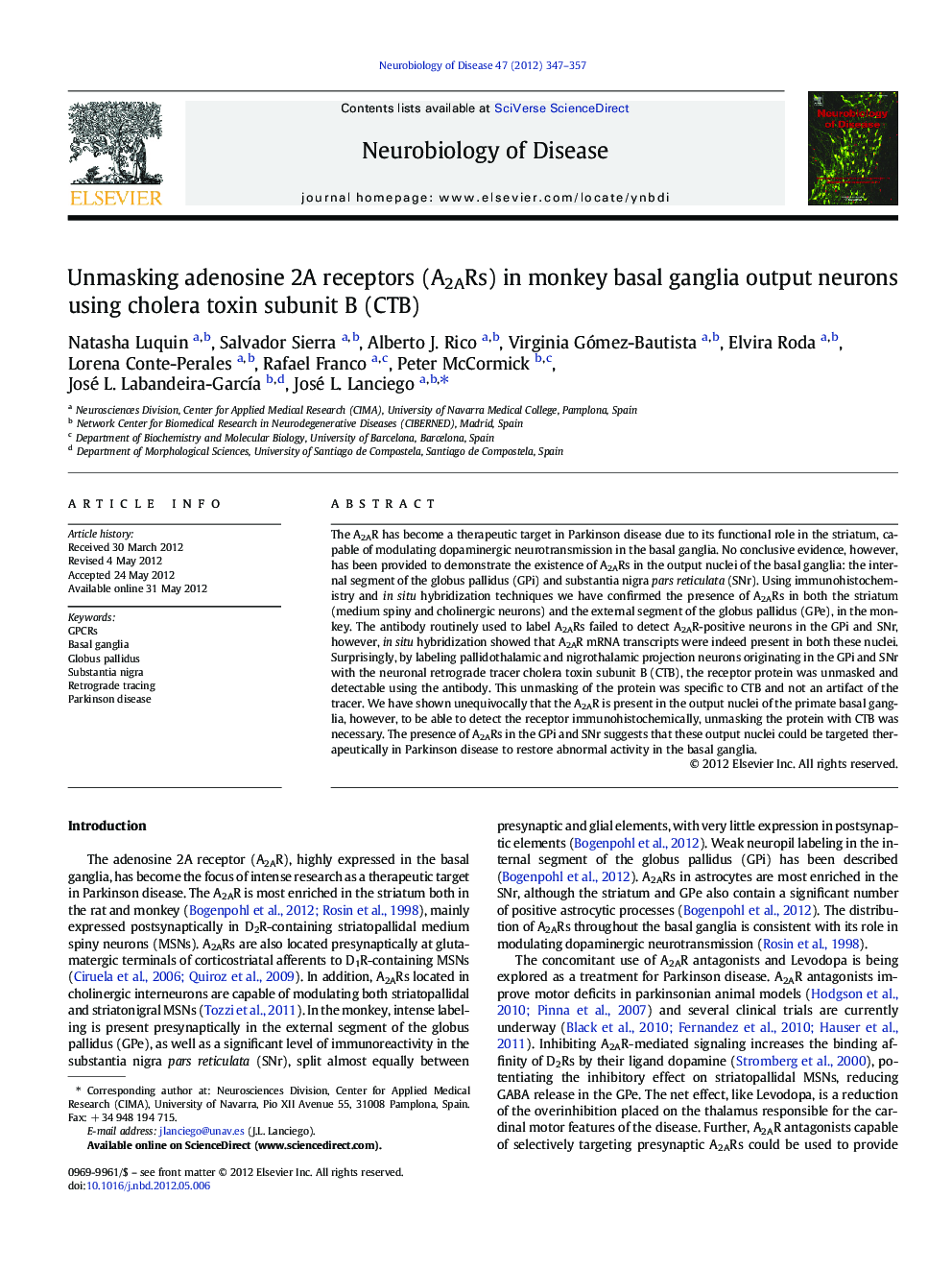 Unmasking adenosine 2A receptors (A2ARs) in monkey basal ganglia output neurons using cholera toxin subunit B (CTB)