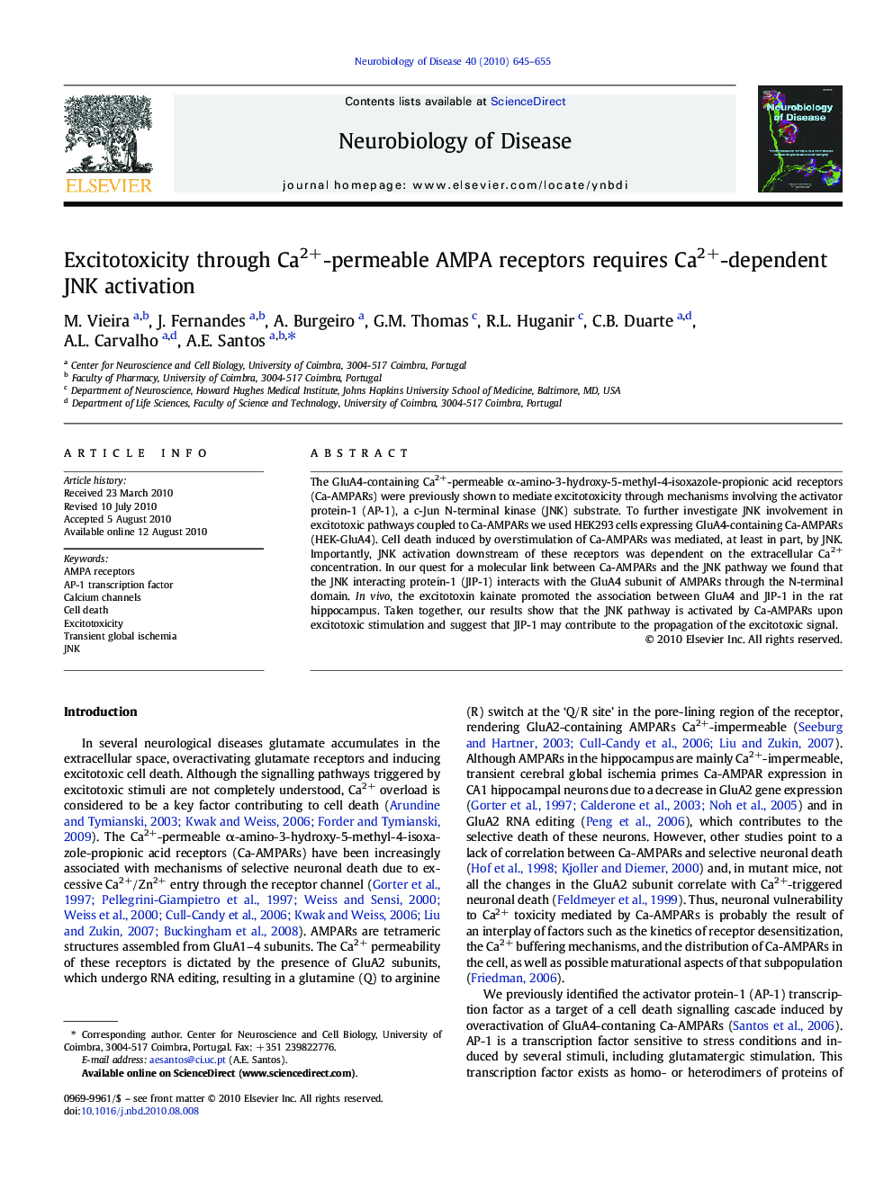 Excitotoxicity through Ca2+-permeable AMPA receptors requires Ca2+-dependent JNK activation