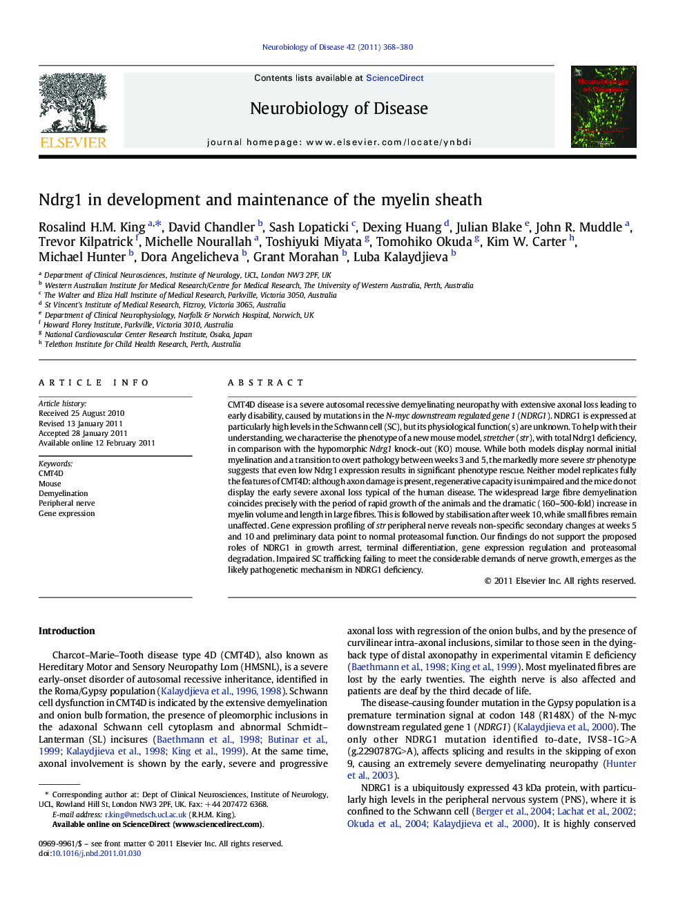 Ndrg1 in development and maintenance of the myelin sheath