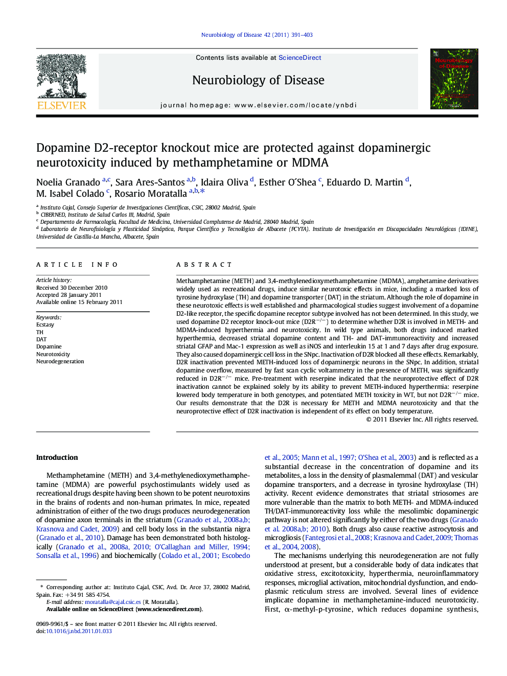 Dopamine D2-receptor knockout mice are protected against dopaminergic neurotoxicity induced by methamphetamine or MDMA