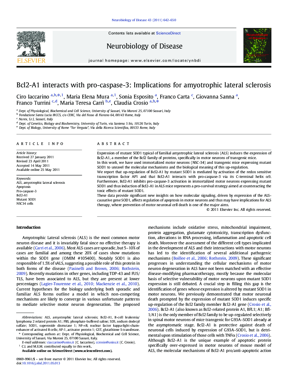 Bcl2-A1 interacts with pro-caspase-3: Implications for amyotrophic lateral sclerosis