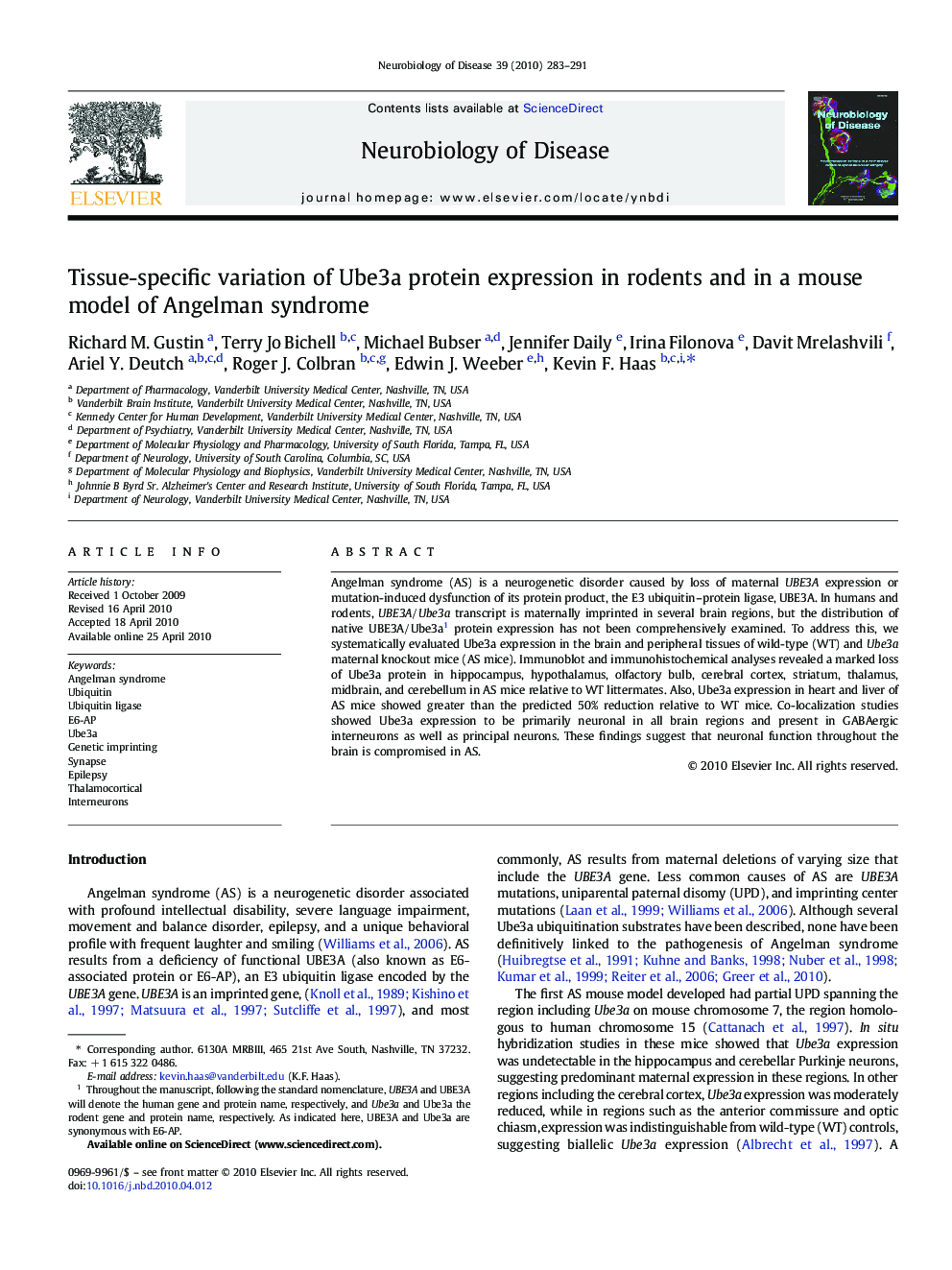 Tissue-specific variation of Ube3a protein expression in rodents and in a mouse model of Angelman syndrome