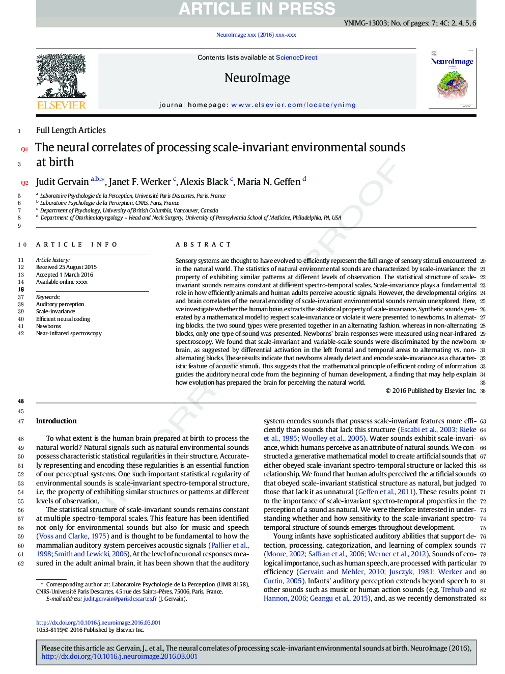 The neural correlates of processing scale-invariant environmental sounds at birth