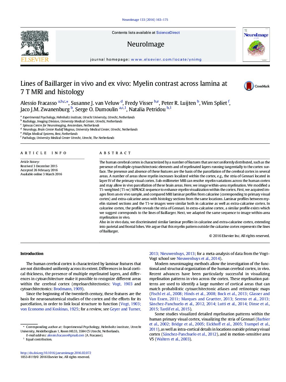 Lines of Baillarger in vivo and ex vivo: Myelin contrast across lamina at 7Â T MRI and histology