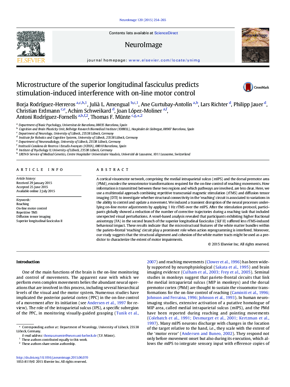 Microstructure of the superior longitudinal fasciculus predicts stimulation-induced interference with on-line motor control