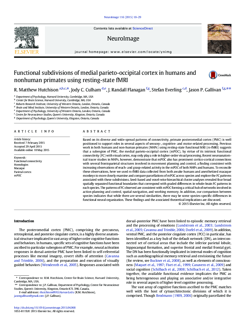 Functional subdivisions of medial parieto-occipital cortex in humans and nonhuman primates using resting-state fMRI