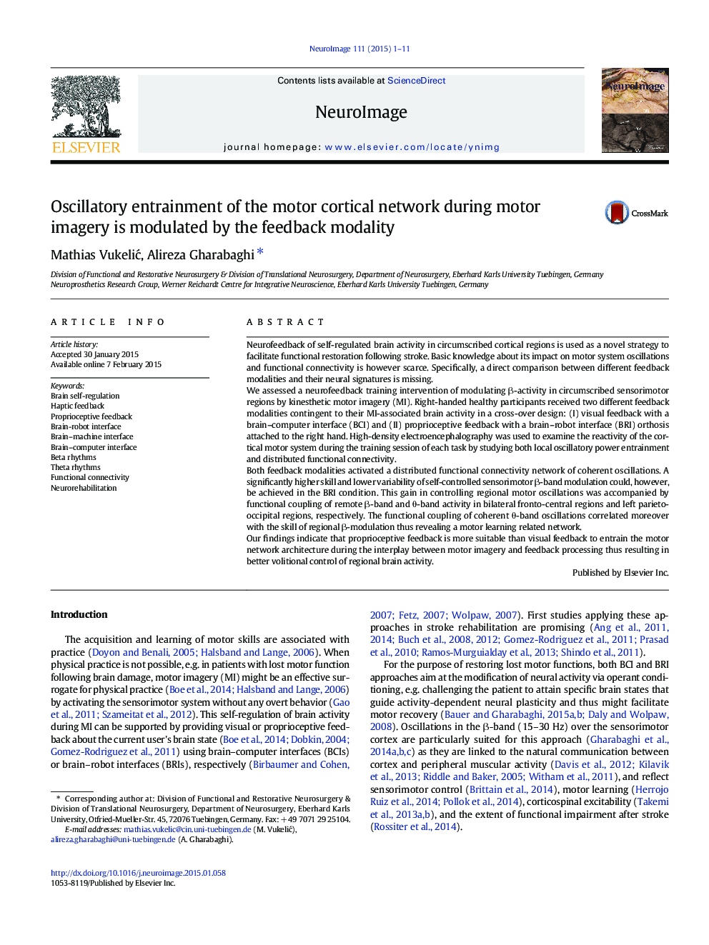 Oscillatory entrainment of the motor cortical network during motor imagery is modulated by the feedback modality