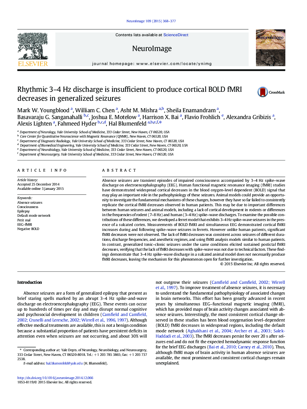 Rhythmic 3-4Â Hz discharge is insufficient to produce cortical BOLD fMRI decreases in generalized seizures