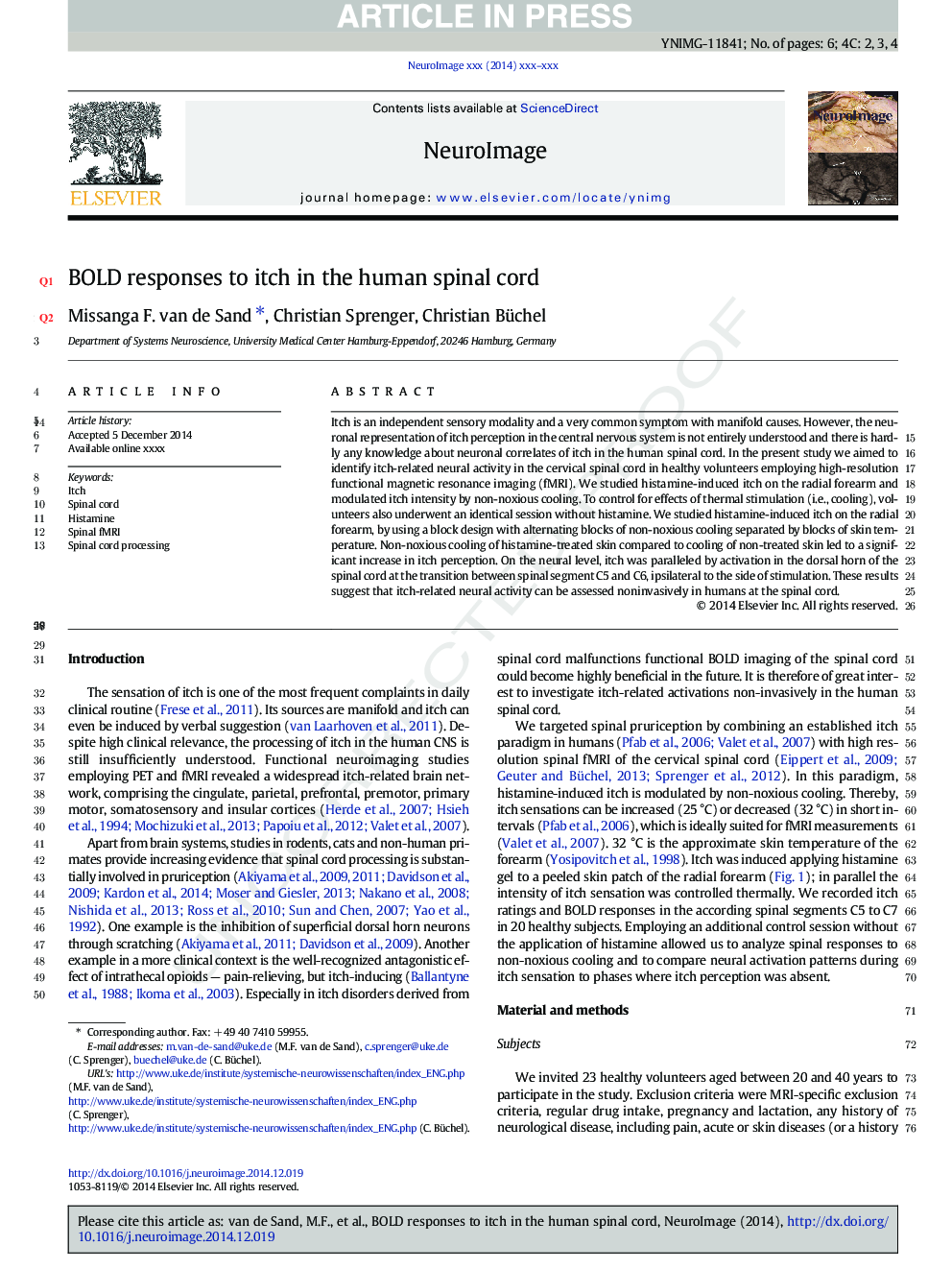 BOLD responses to itch in the human spinal cord