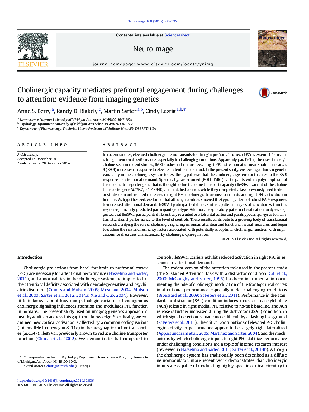 Cholinergic capacity mediates prefrontal engagement during challenges to attention: evidence from imaging genetics