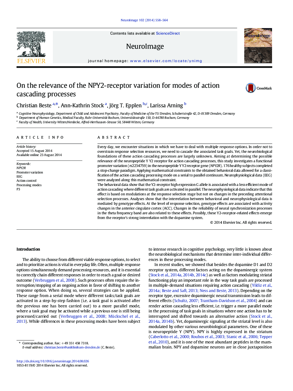 On the relevance of the NPY2-receptor variation for modes of action cascading processes