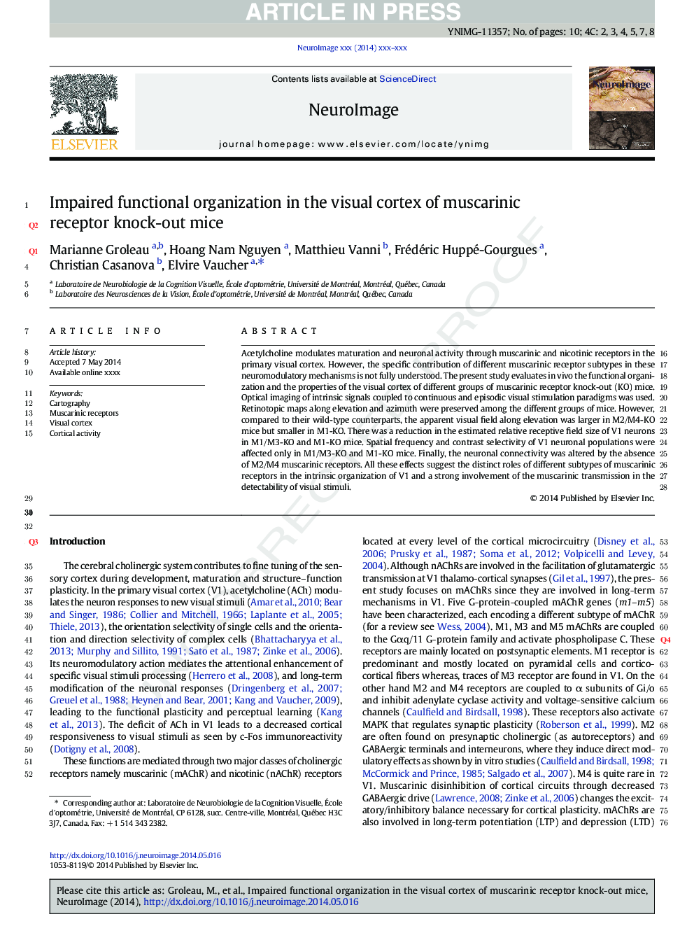 Impaired functional organization in the visual cortex of muscarinic receptor knock-out mice