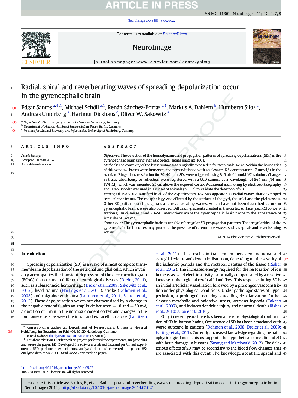 Radial, spiral and reverberating waves of spreading depolarization occur in the gyrencephalic brain