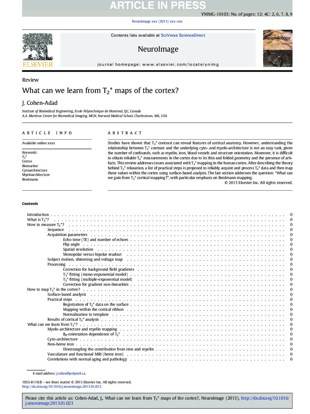 What can we learn from T2* maps of the cortex?