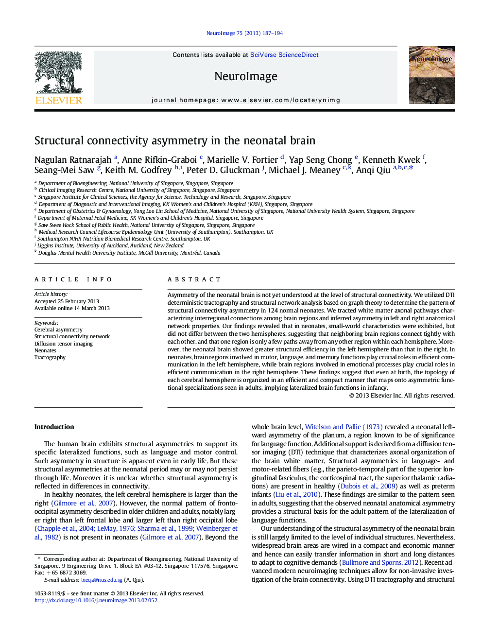 Structural connectivity asymmetry in the neonatal brain