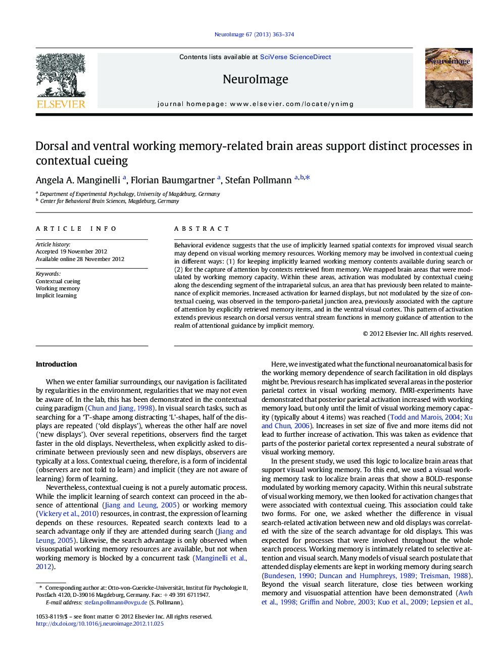 Dorsal and ventral working memory-related brain areas support distinct processes in contextual cueing