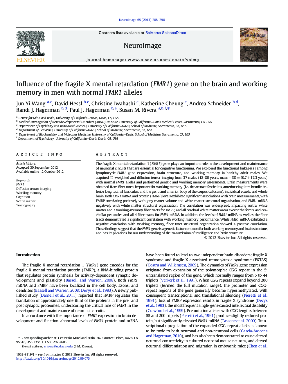 Influence of the fragile X mental retardation (FMR1) gene on the brain and working memory in men with normal FMR1 alleles