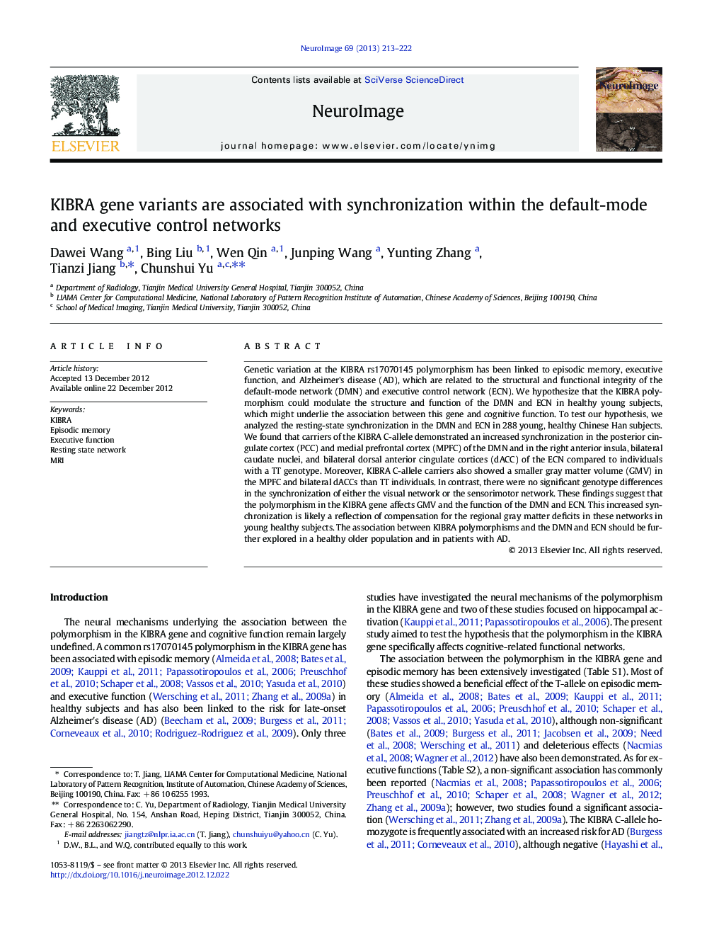 KIBRA gene variants are associated with synchronization within the default-mode and executive control networks