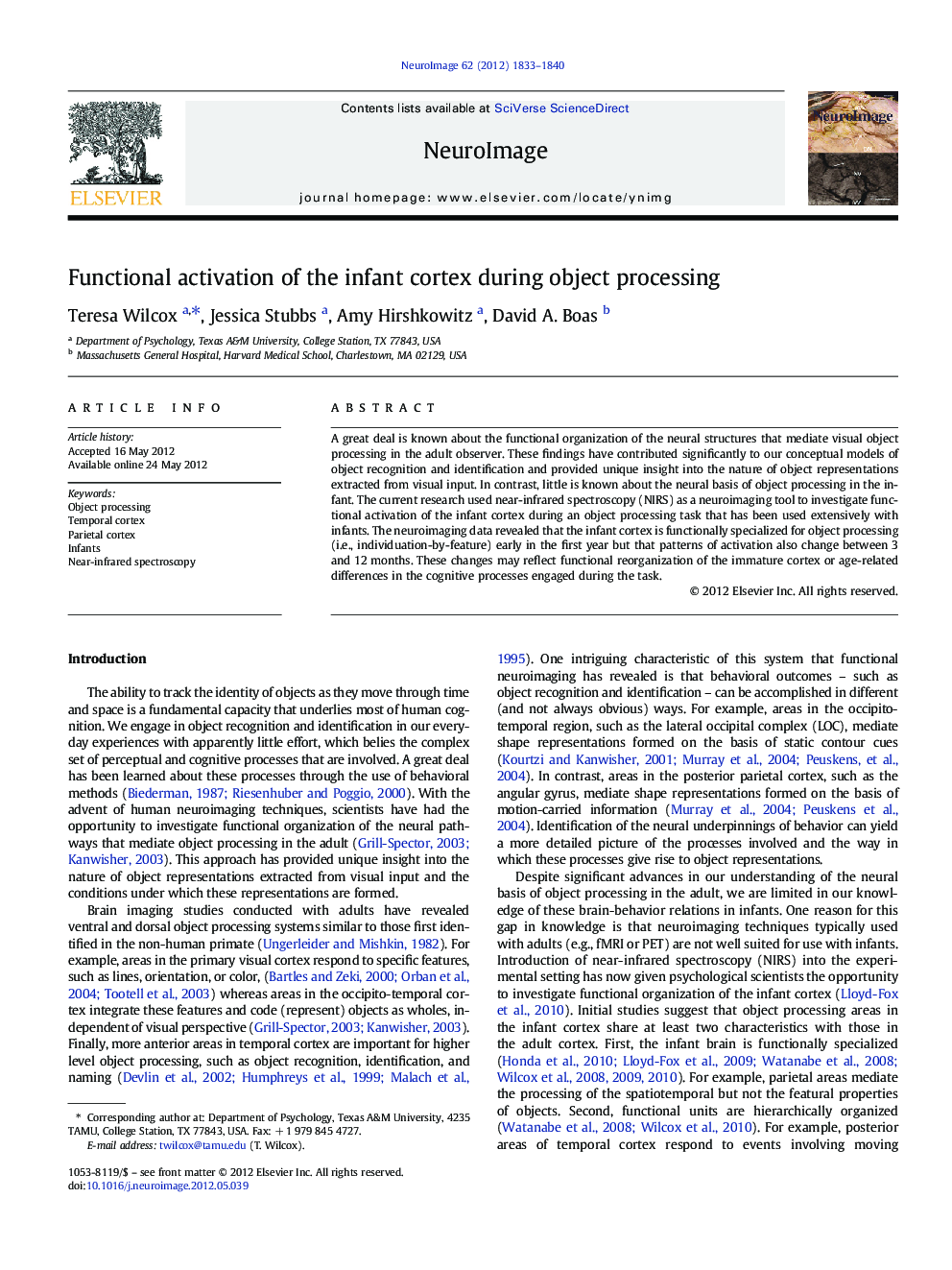 Functional activation of the infant cortex during object processing