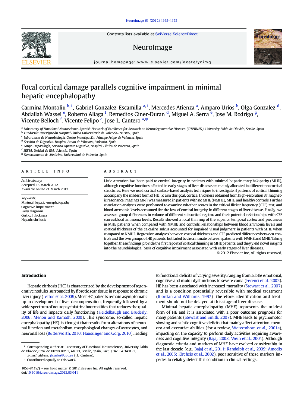 Focal cortical damage parallels cognitive impairment in minimal hepatic encephalopathy