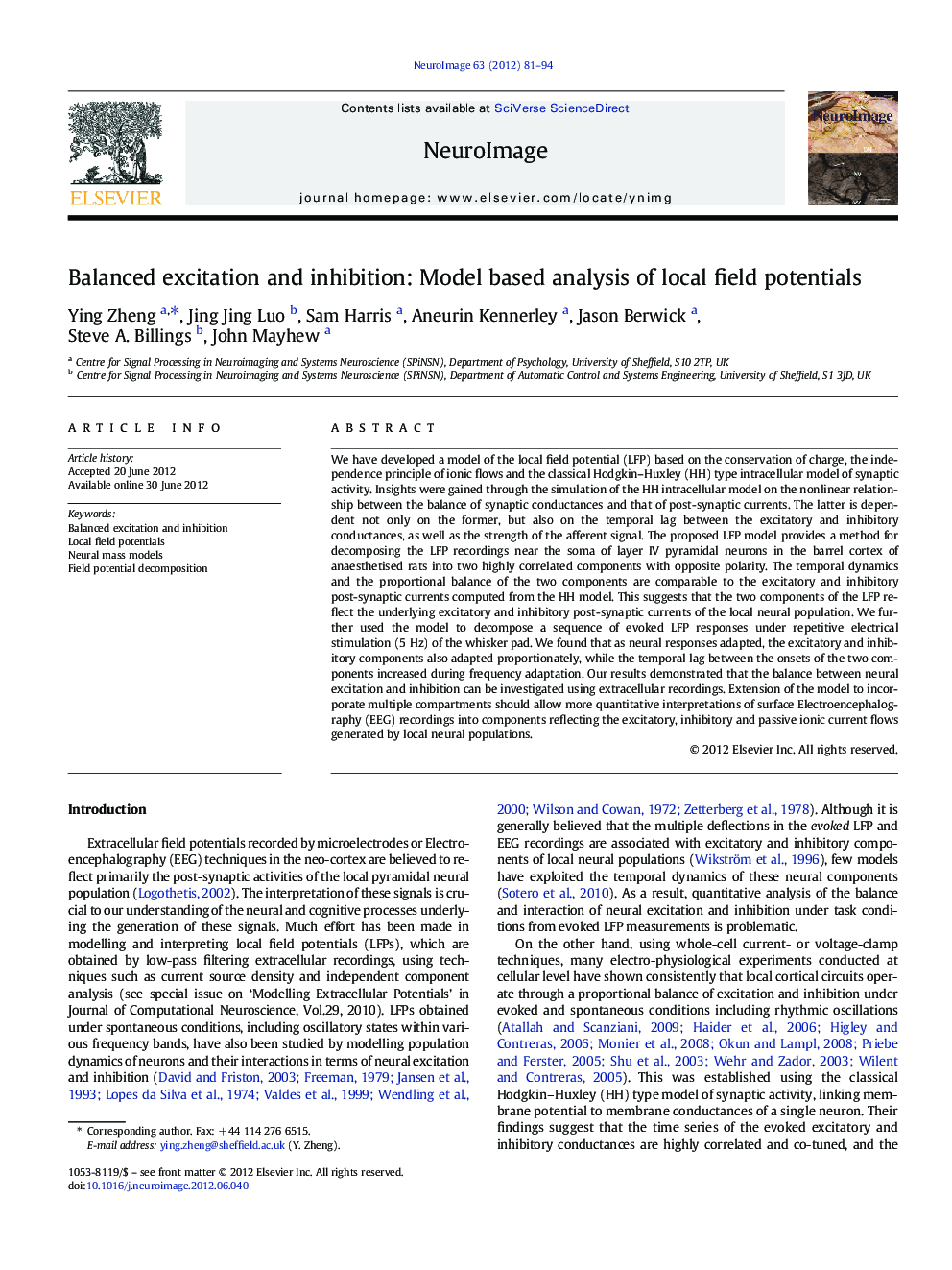 Balanced excitation and inhibition: Model based analysis of local field potentials