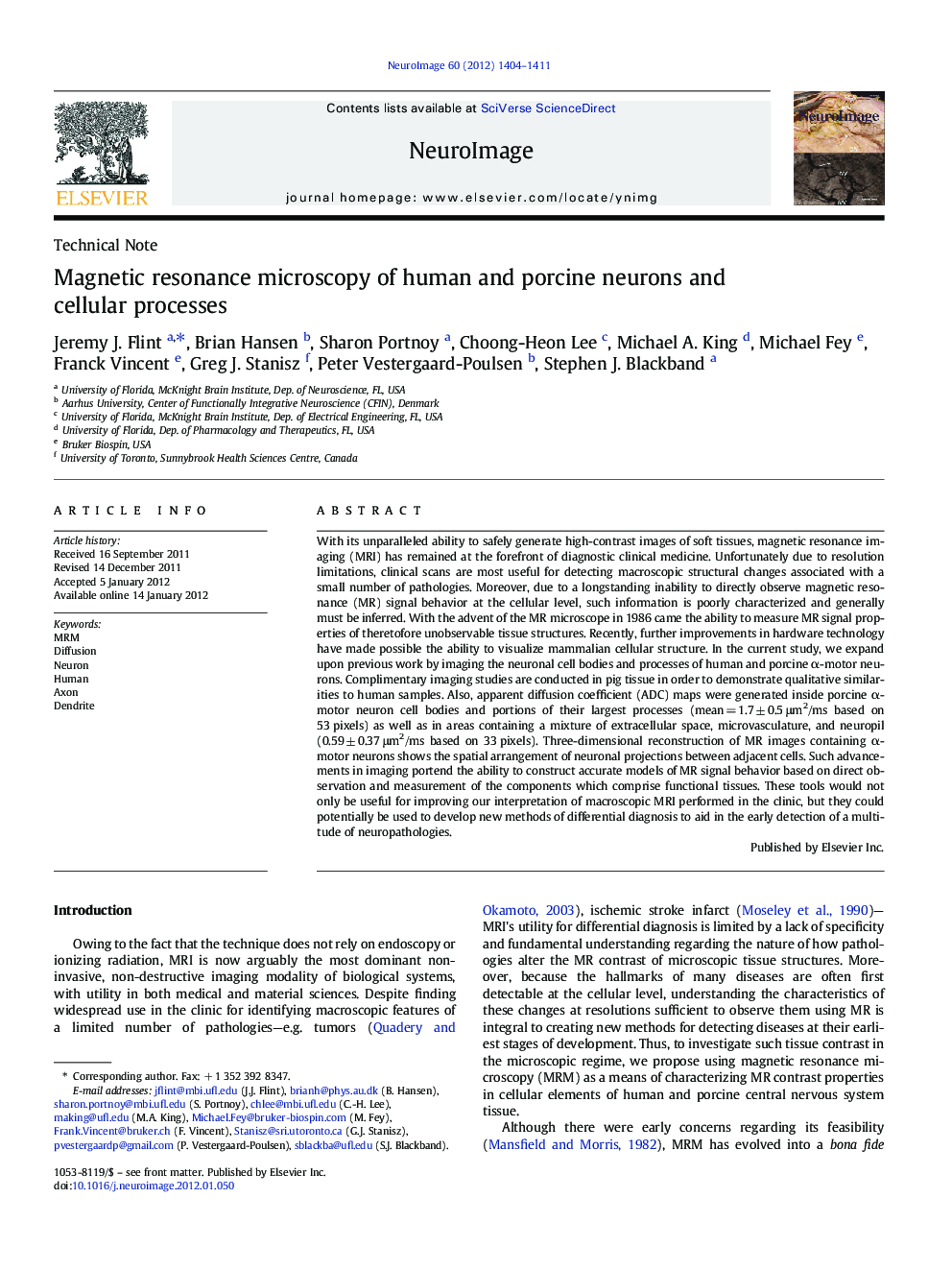 Magnetic resonance microscopy of human and porcine neurons and cellular processes