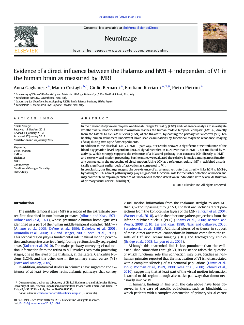 Evidence of a direct influence between the thalamus and hMTÂ + independent of V1 in the human brain as measured by fMRI