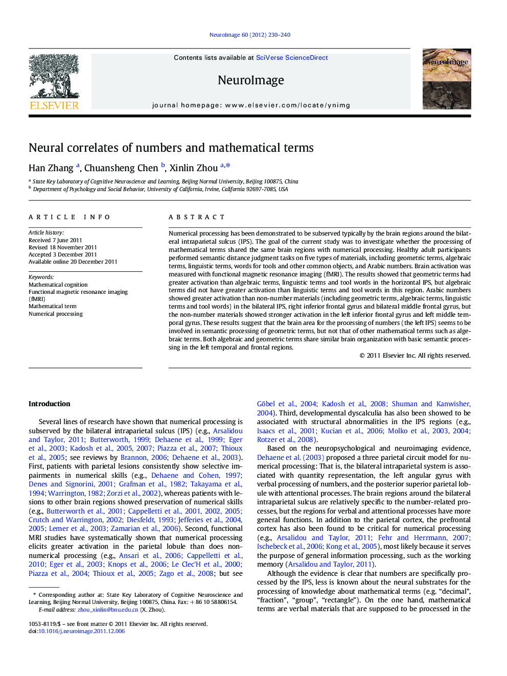 Neural correlates of numbers and mathematical terms