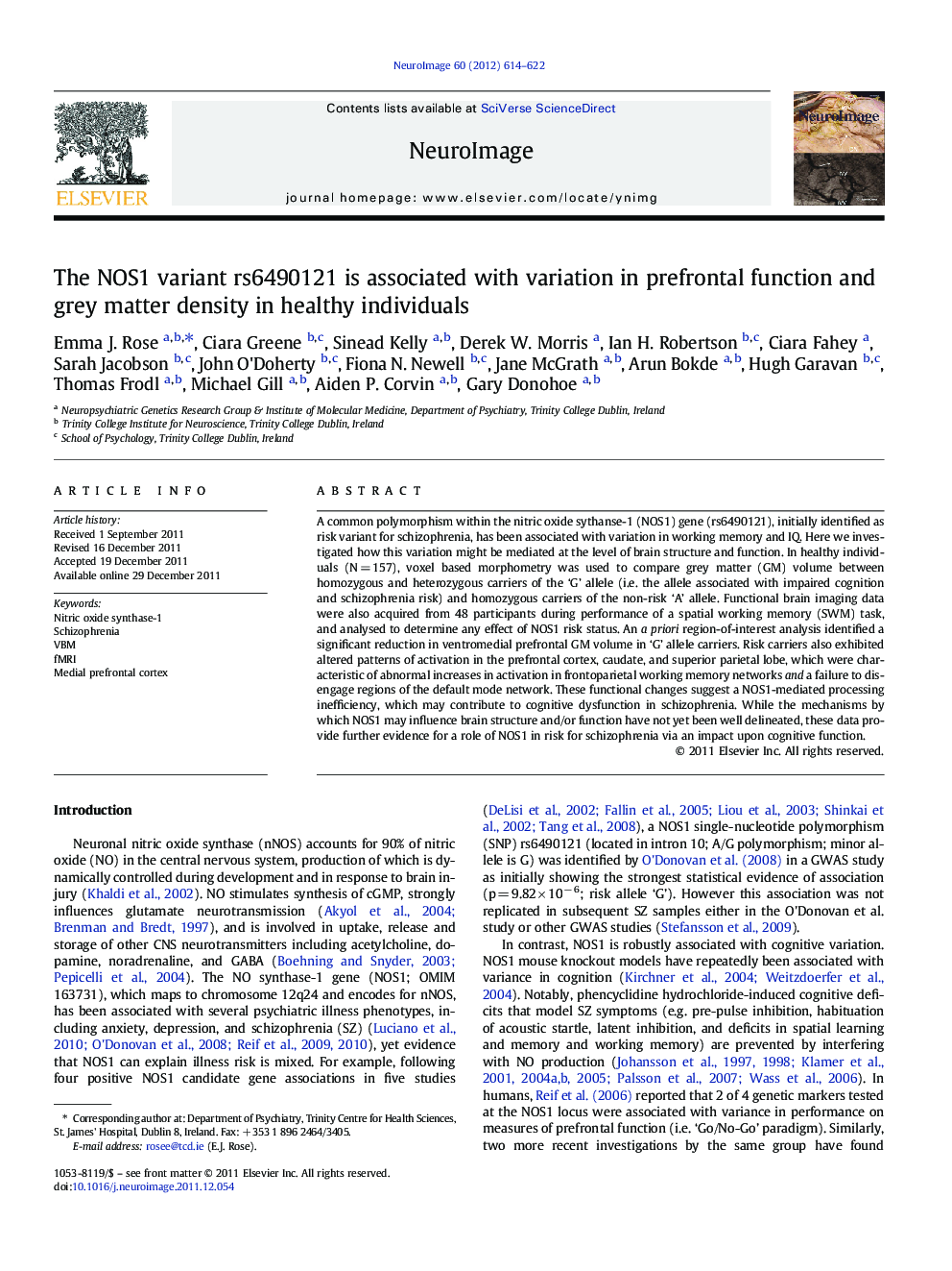 The NOS1 variant rs6490121 is associated with variation in prefrontal function and grey matter density in healthy individuals