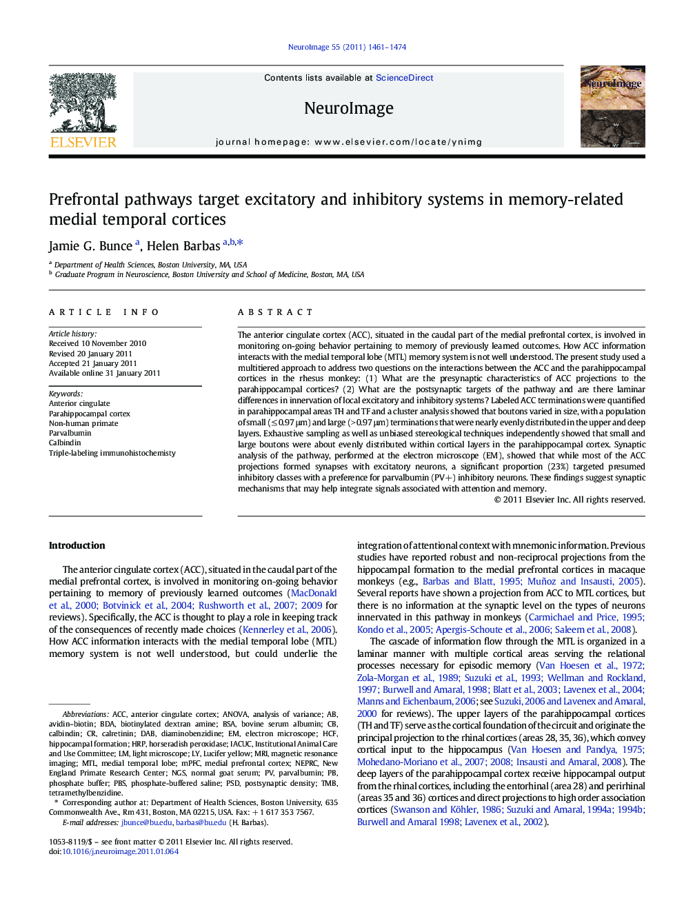 Prefrontal pathways target excitatory and inhibitory systems in memory-related medial temporal cortices