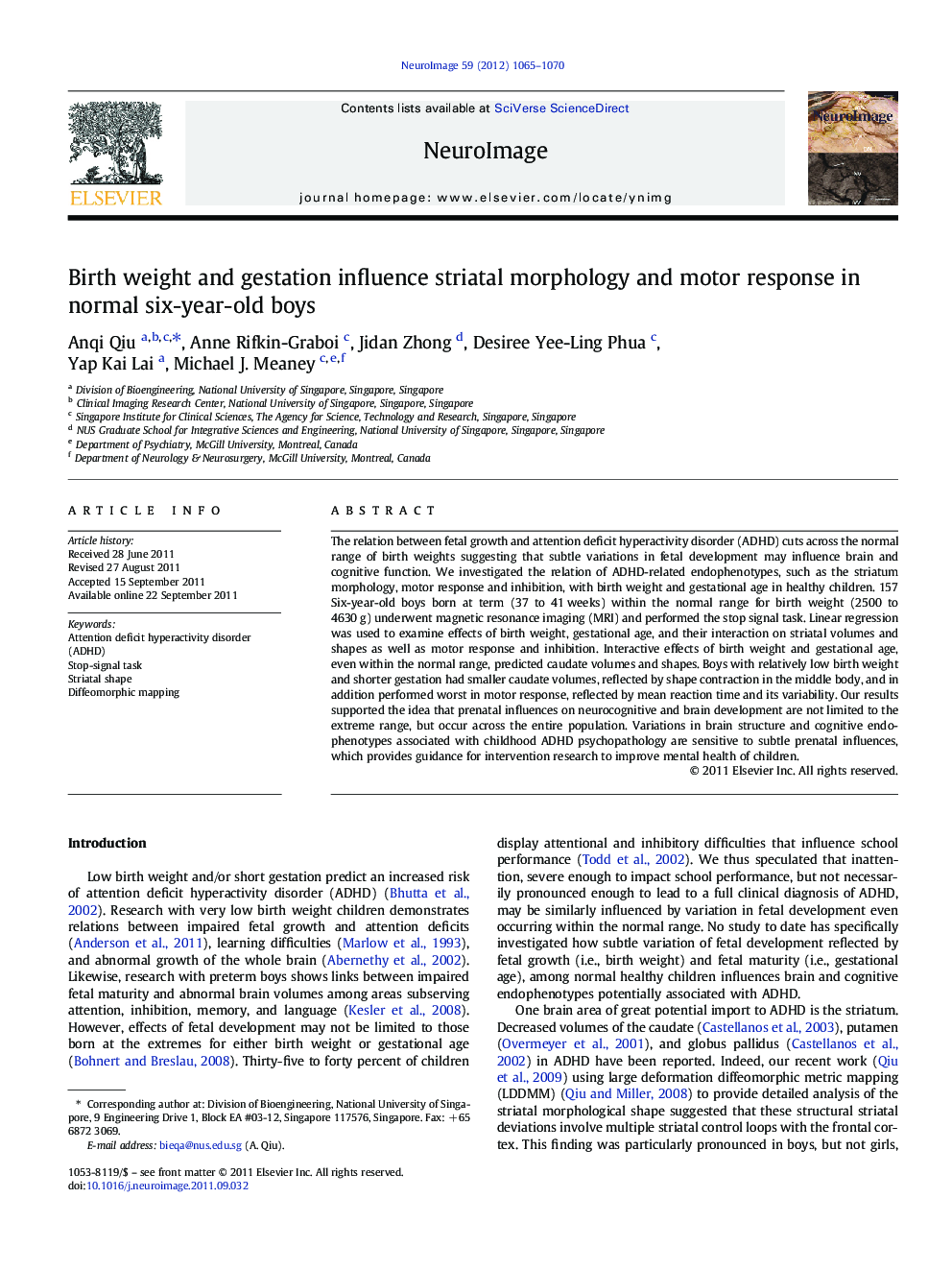 Birth weight and gestation influence striatal morphology and motor response in normal six-year-old boys