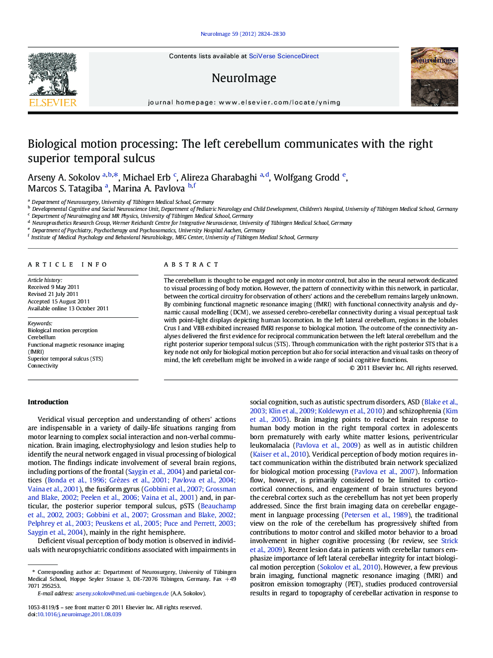 Biological motion processing: The left cerebellum communicates with the right superior temporal sulcus