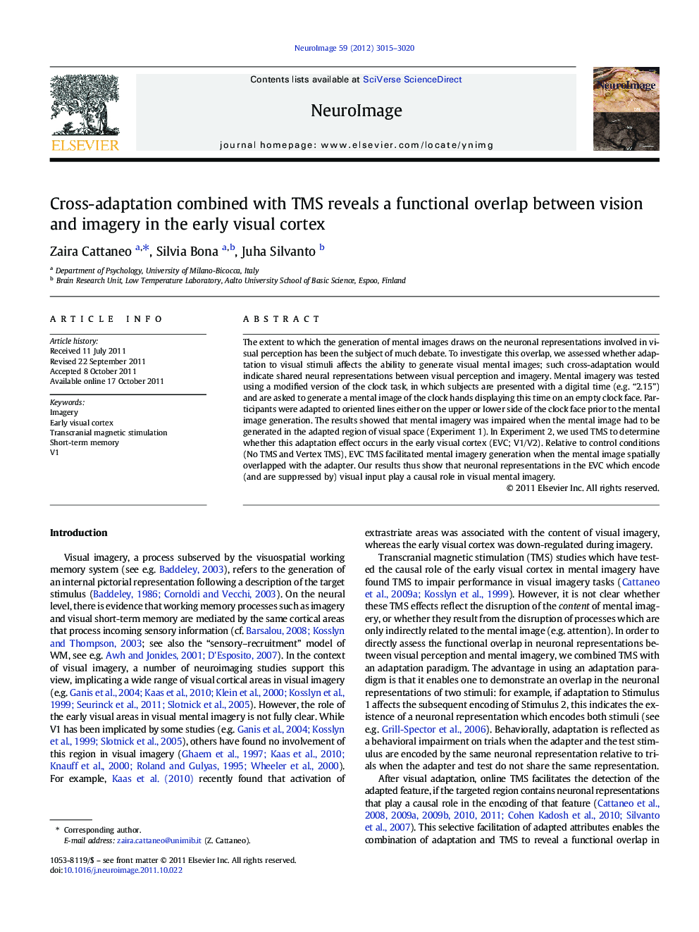 Cross-adaptation combined with TMS reveals a functional overlap between vision and imagery in the early visual cortex