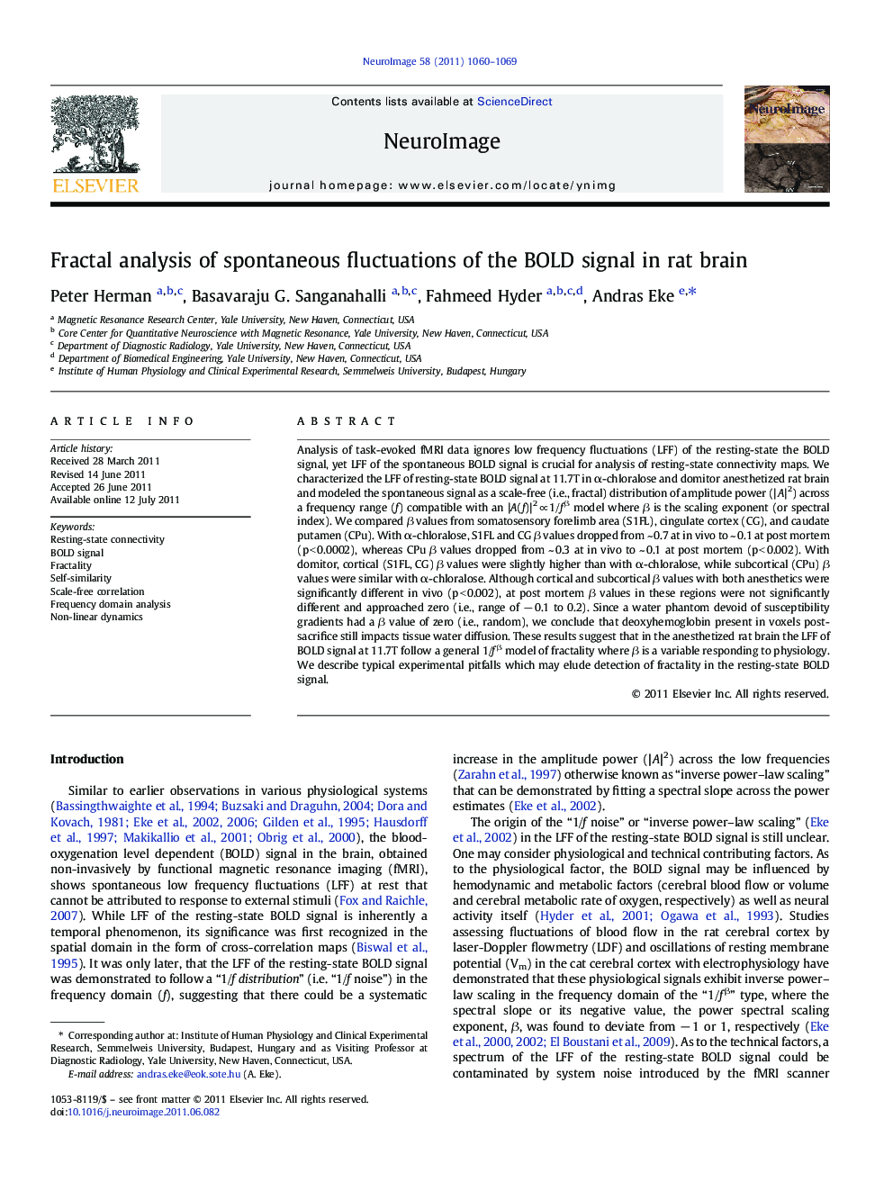 Fractal analysis of spontaneous fluctuations of the BOLD signal in rat brain