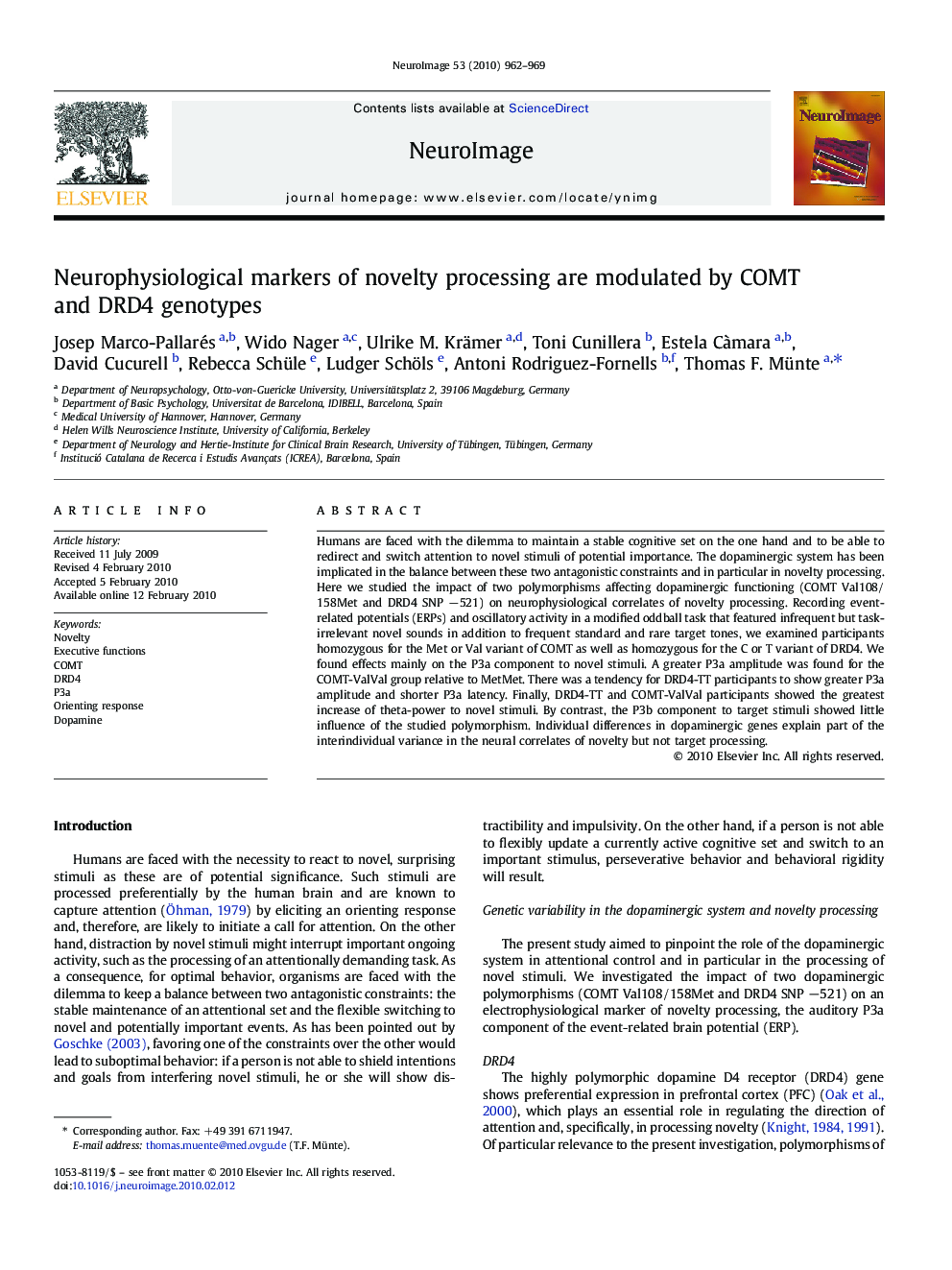 Neurophysiological markers of novelty processing are modulated by COMT and DRD4 genotypes