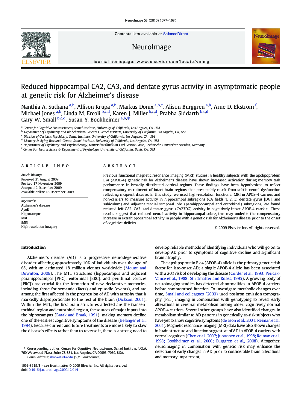 Reduced hippocampal CA2, CA3, and dentate gyrus activity in asymptomatic people at genetic risk for Alzheimer's disease