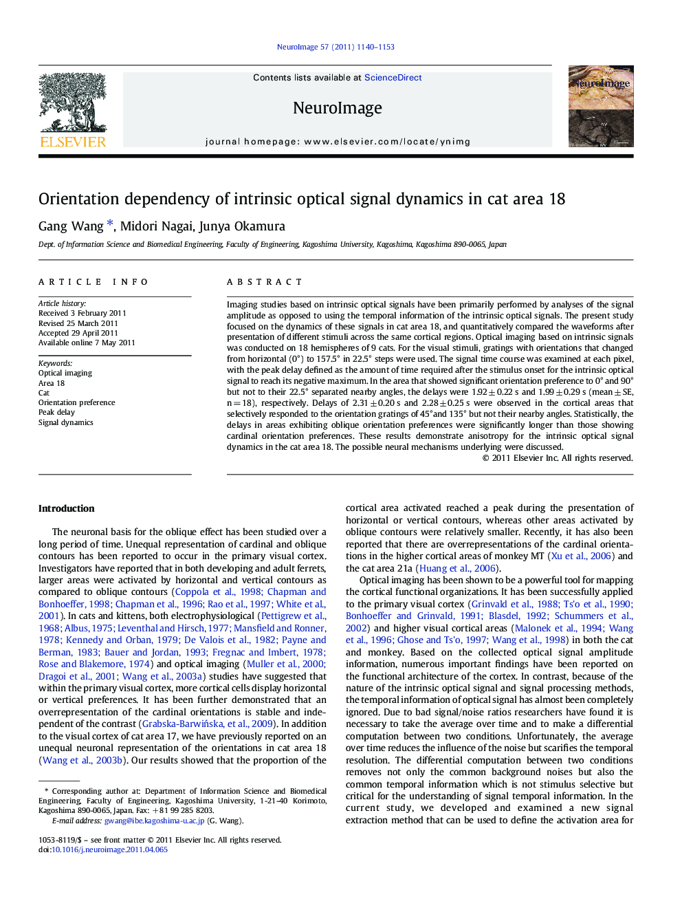 Orientation dependency of intrinsic optical signal dynamics in cat area 18