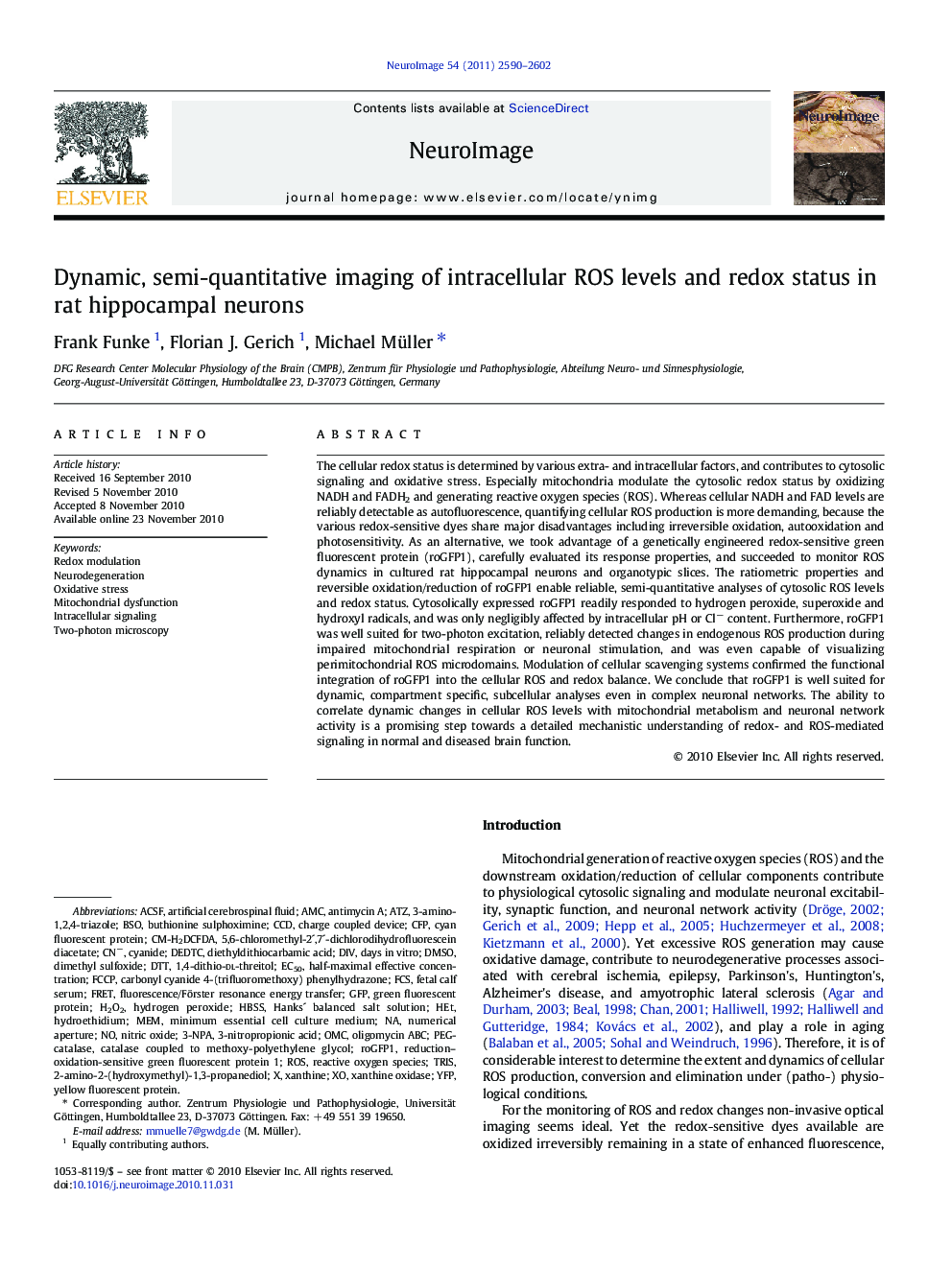 Dynamic, semi-quantitative imaging of intracellular ROS levels and redox status in rat hippocampal neurons