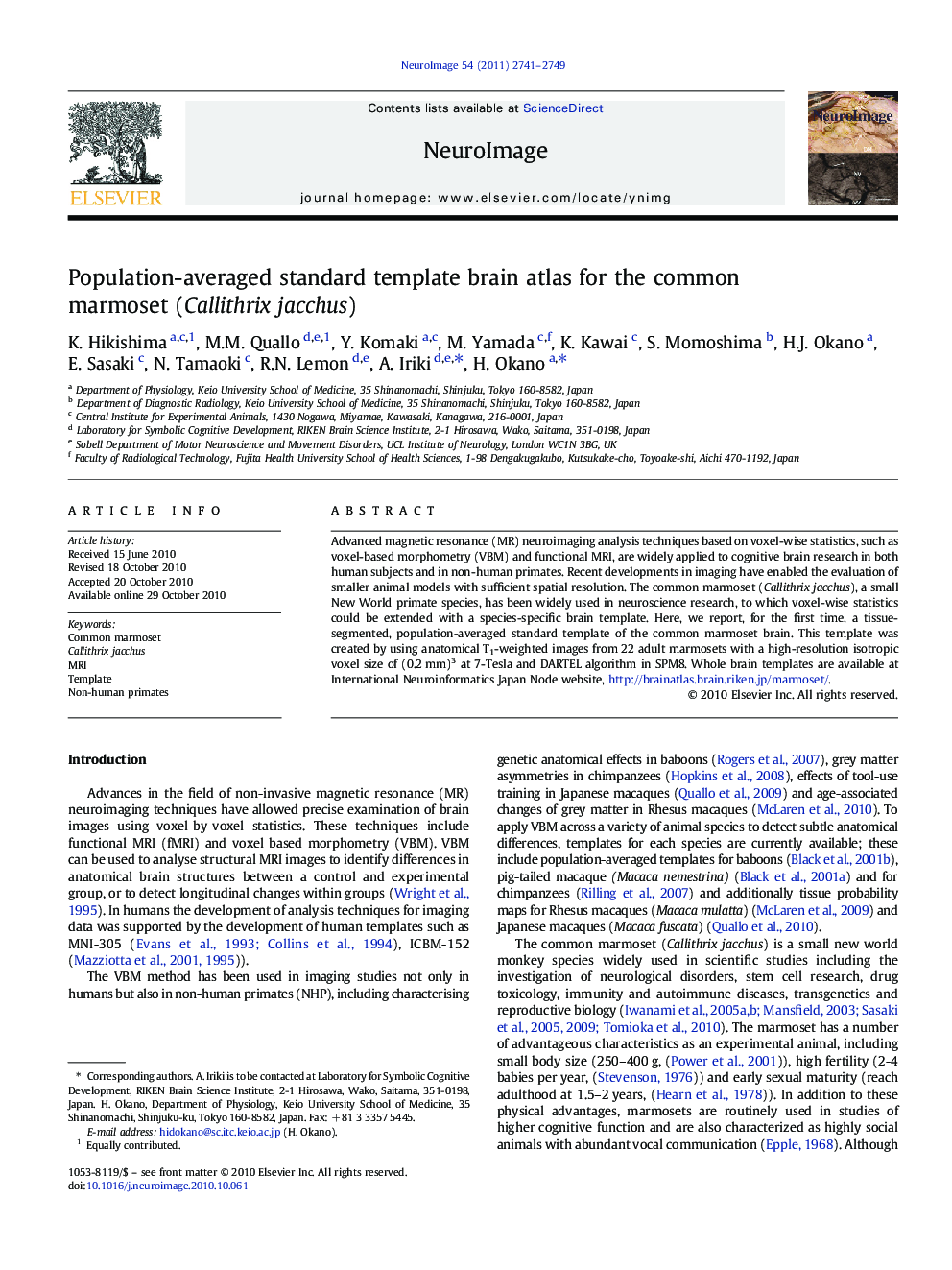 Population-averaged standard template brain atlas for the common marmoset (Callithrix jacchus)