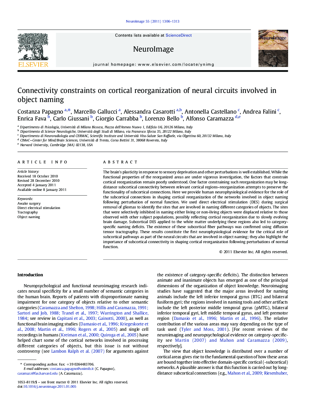 Connectivity constraints on cortical reorganization of neural circuits involved in object naming