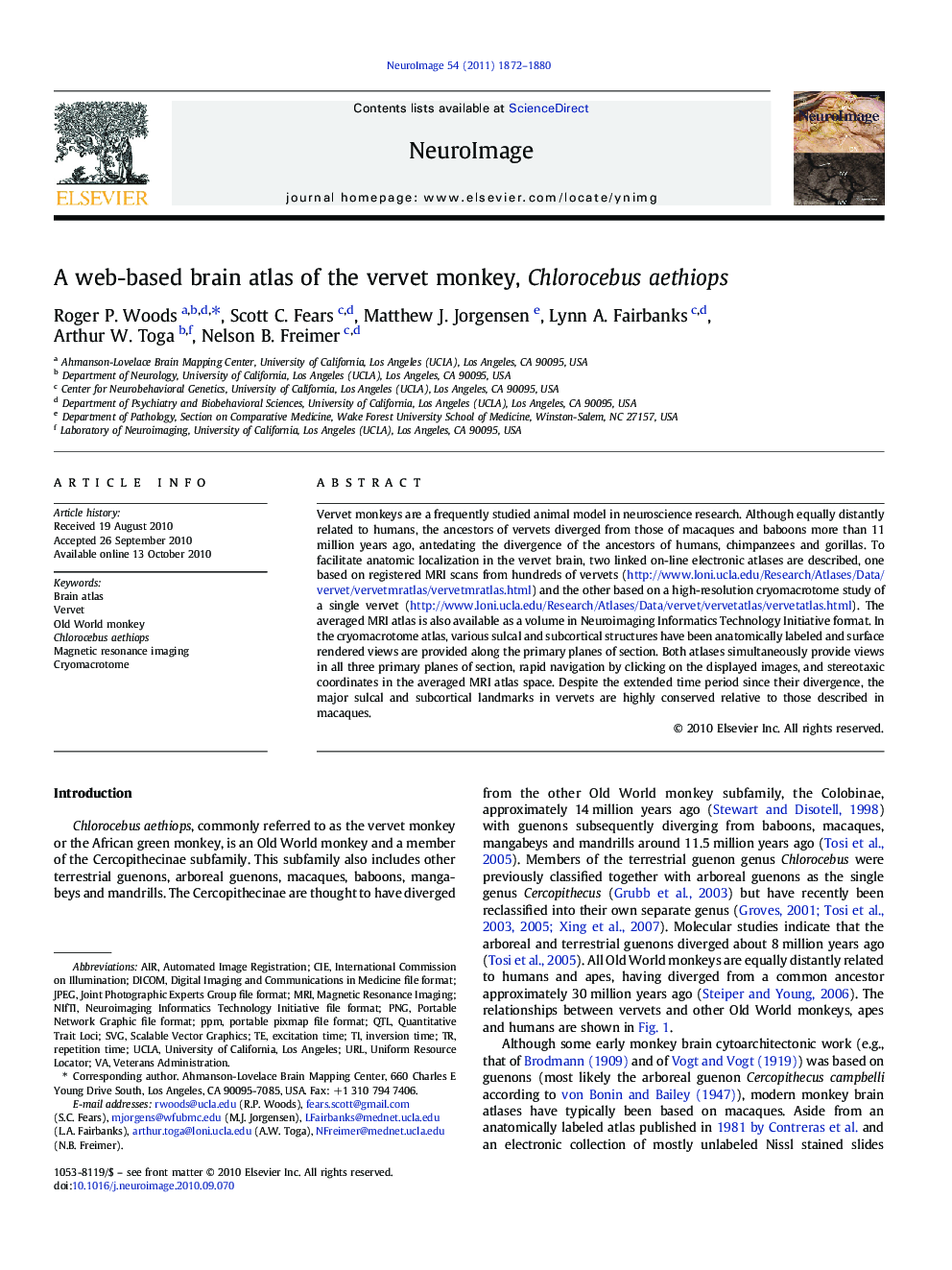 A web-based brain atlas of the vervet monkey, Chlorocebus aethiops