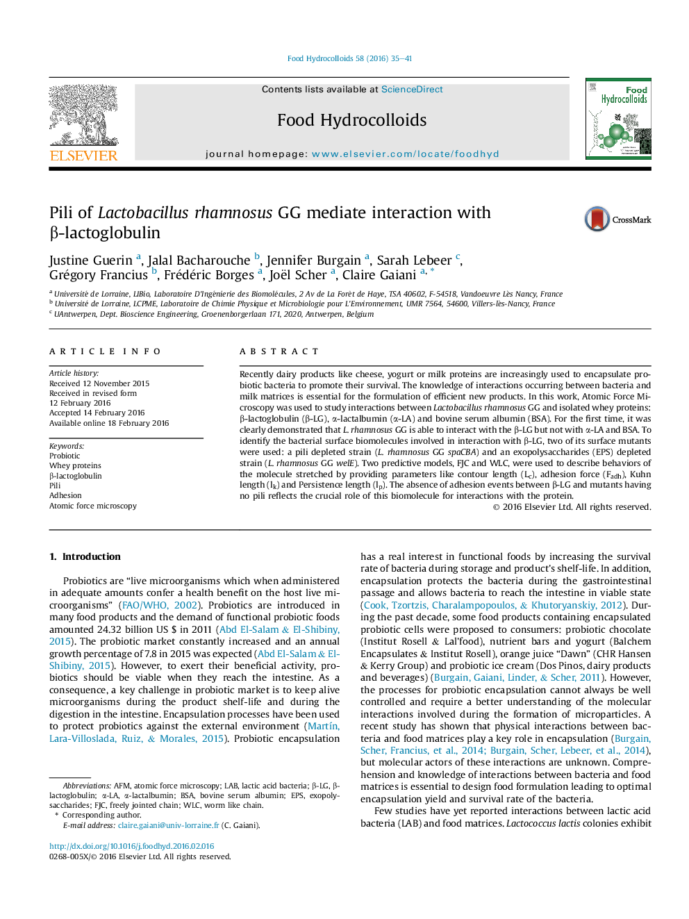 Pili of Lactobacillus rhamnosus GG mediate interaction with β-lactoglobulin