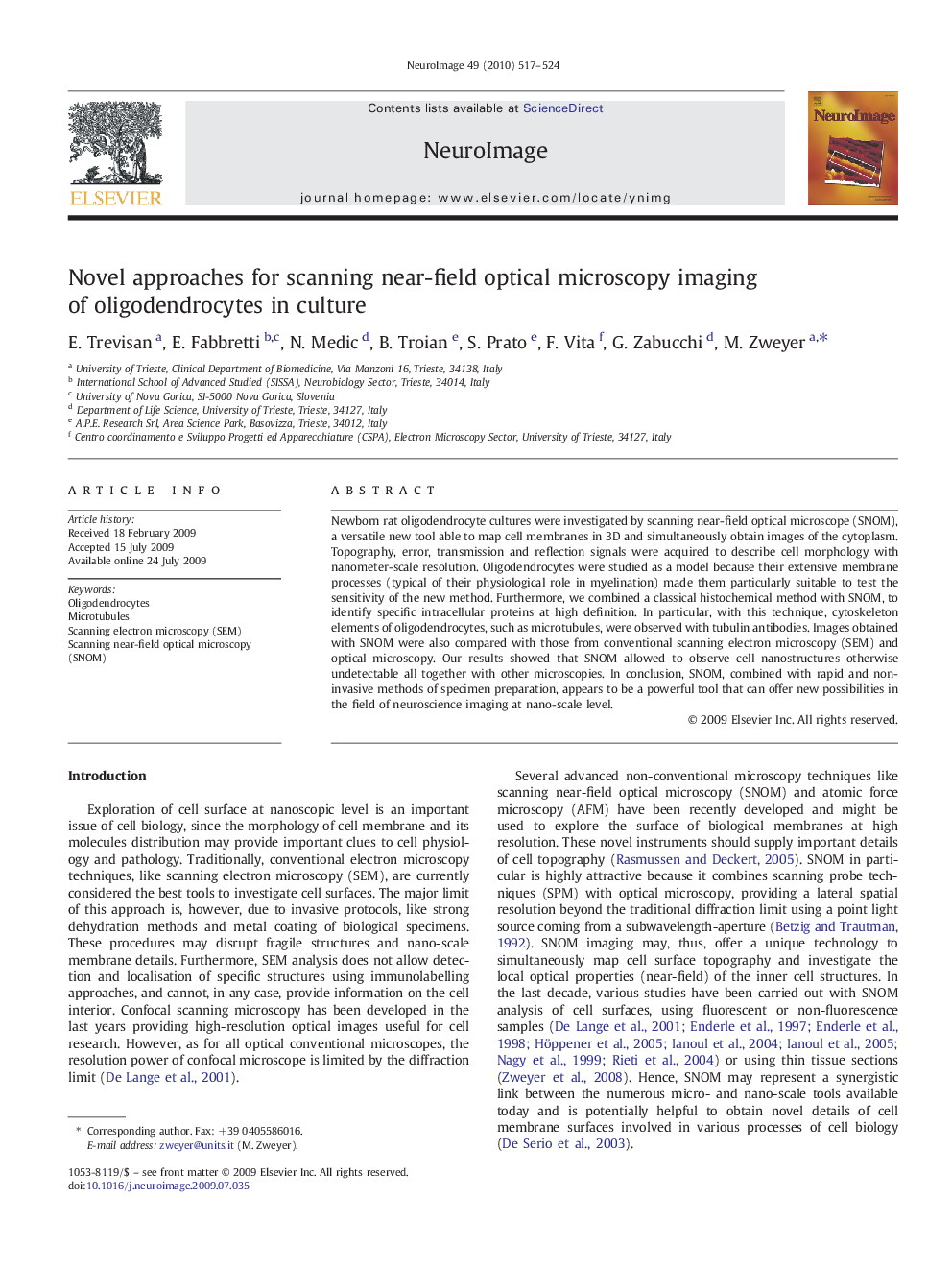 Novel approaches for scanning near-field optical microscopy imaging of oligodendrocytes in culture