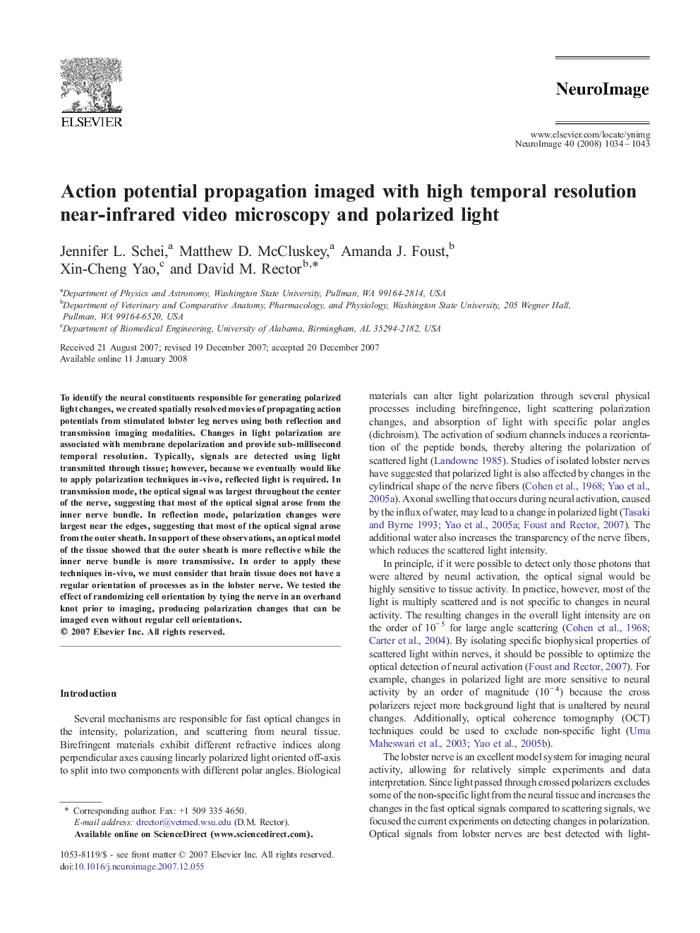 Action potential propagation imaged with high temporal resolution near-infrared video microscopy and polarized light